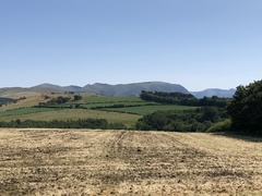 IMG 0426