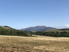 IMG 0427