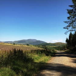 Elva Hill, June 22nd