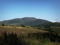 IMG 0435