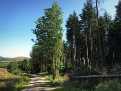IMG 0437