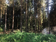 IMG 0440