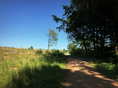 IMG 0442