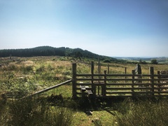 IMG 0450