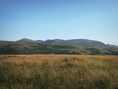 IMG 0452