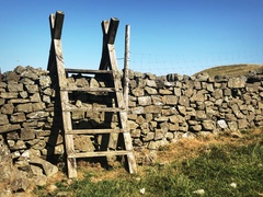 IMG 0454