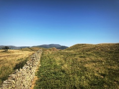 IMG 0456