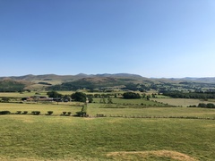 IMG 0464