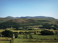 IMG 0465