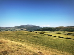 IMG 0467