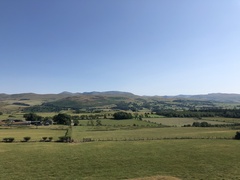 IMG 0471