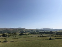 IMG 0472