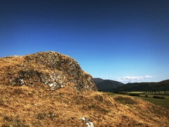 IMG 0476