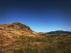 IMG 0478
