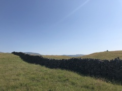 IMG 0479