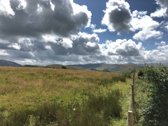 IMG 0527