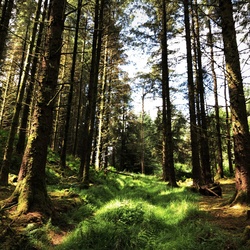 Nature Walks, June 2023