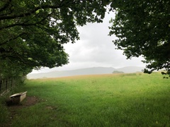 IMG 0558