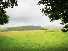 IMG 0561