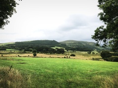 IMG 0566
