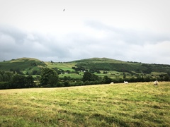 IMG 0563