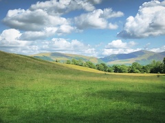 IMG 0536