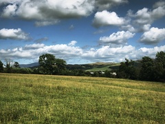 IMG 0542