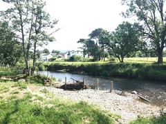 IMG 0543