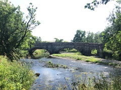 IMG 0545