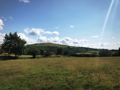 IMG 0556