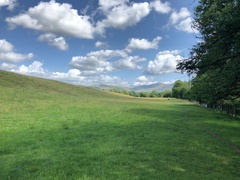 IMG 0535