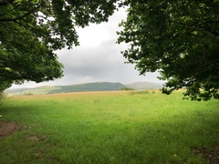 IMG 0560