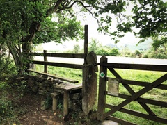 IMG 0575