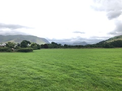 IMG 0583