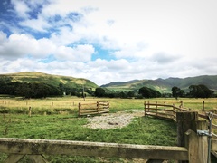 IMG 0589