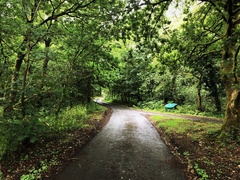 IMG 0606