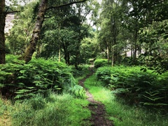 IMG 0608