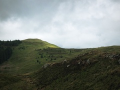 IMG 0619
