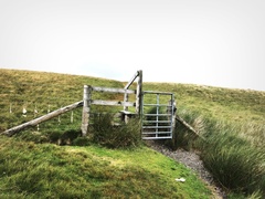 IMG 0645