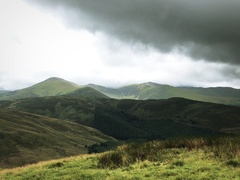 IMG 0647