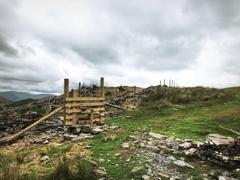 IMG 0656