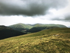 IMG 0665