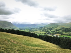 IMG 0687