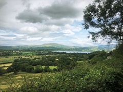IMG 0717