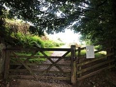 IMG 0719