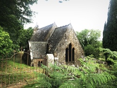IMG 0723