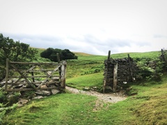 IMG 0733