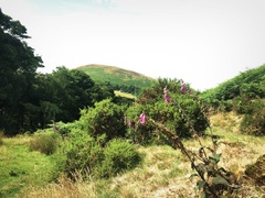 IMG 0762