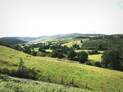 IMG 0764