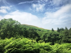 IMG 0772